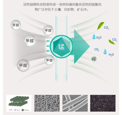 除甲醛最快方法是盐