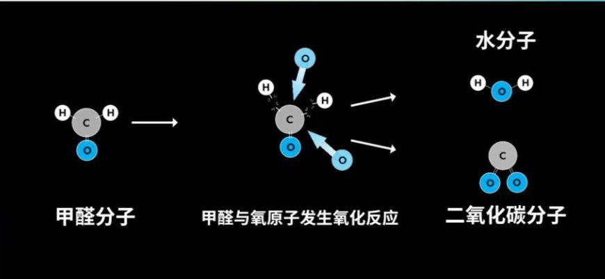 除甲醛最快方法是盐