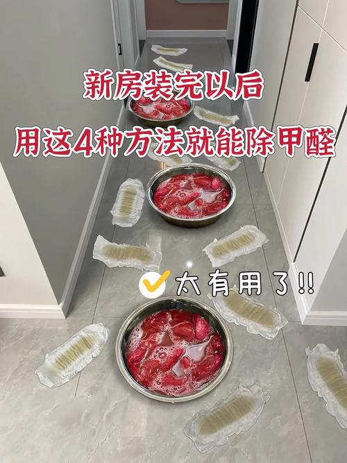 专门去除新房甲醛的公司费用多少